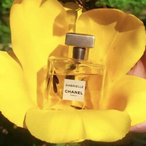 Chanel Gabrielle наконец-то в наличии